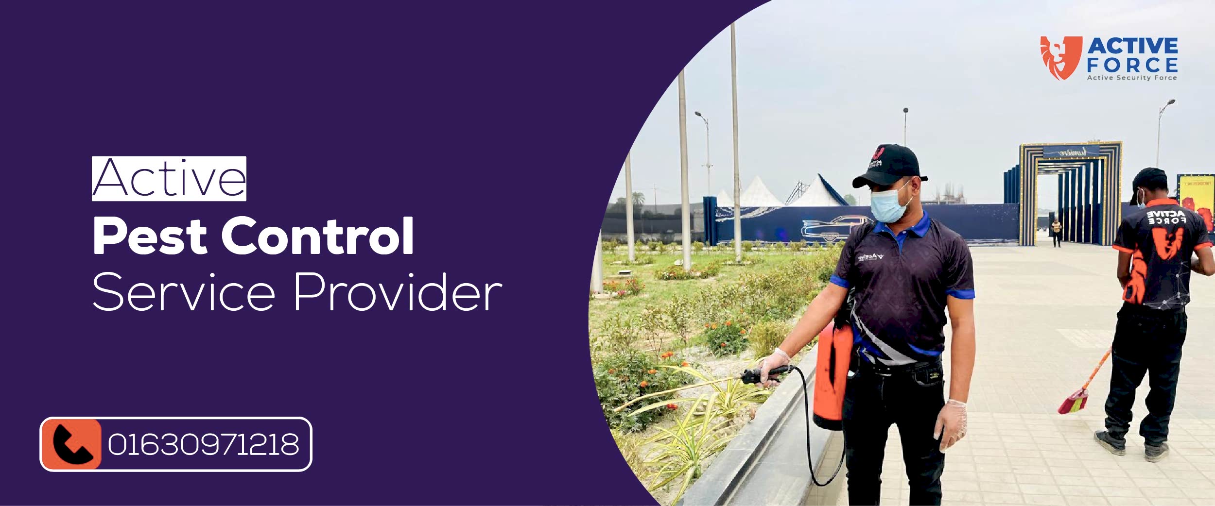 Top 8 Pest Control Service Providers in Dhaka